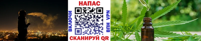Каннабис MAZAR  Медынь 
